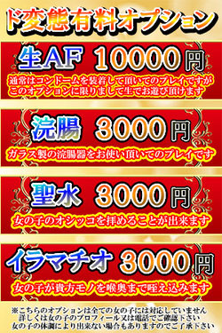 �h�ϑԃI�v�V���� �ڍ�