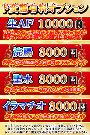 �h�ϑԃI�v�V���� �ڍ�